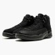 Stockx Nike Air Jordan 12 Retro OVO Black 873864-032 Shoes